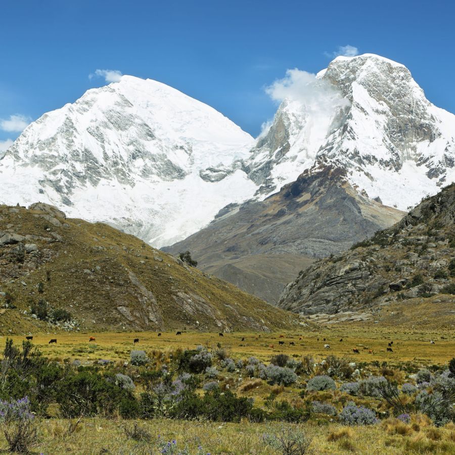 Mt Huascaran from Laguna 69 trail, Ancash province, Peru